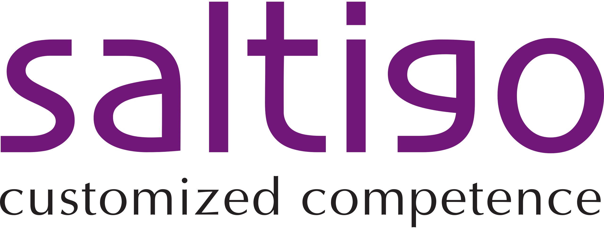 2560px-logo_saltigo.svg-1689161705.png